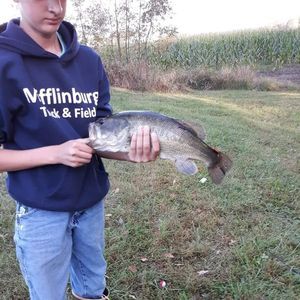 Meet your Posher, Cameron